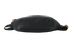 Logo Belt Bag, top view